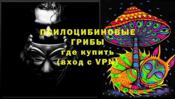 a pvp Пересвет